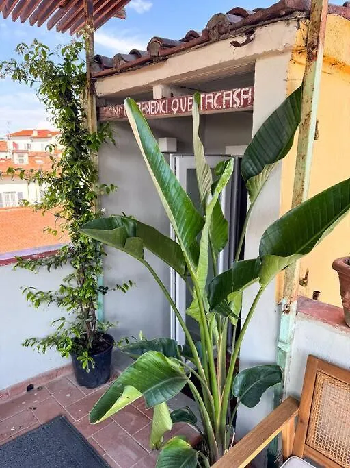 Green Rooftop Terrace Florence Historical Center Apartment